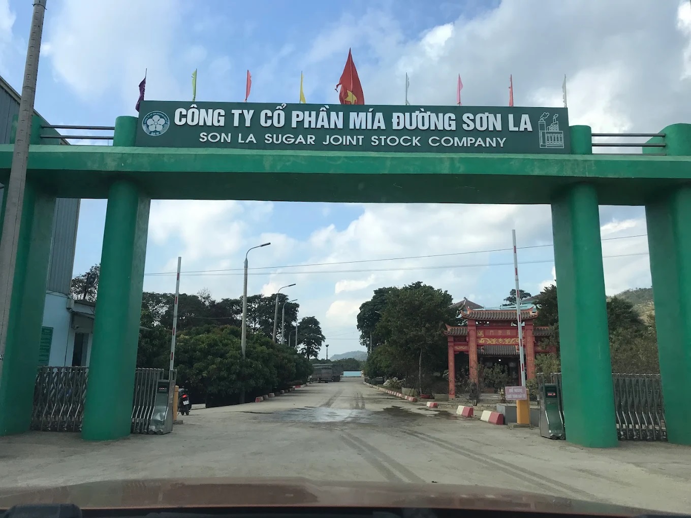 mía đường sơn la.jpg mía đường sơn la.jpg
