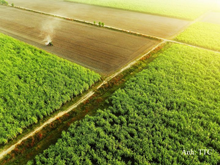 ttc-tai-cau-truc-so-huu-tai-agris-dinh-huong-dai-han-khong-thay-doi
