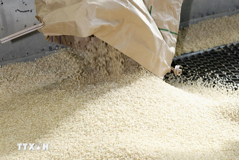 nguon-cung-du-thua-gia-gao-the-gioi-roi-ve-muc-day-8-nam