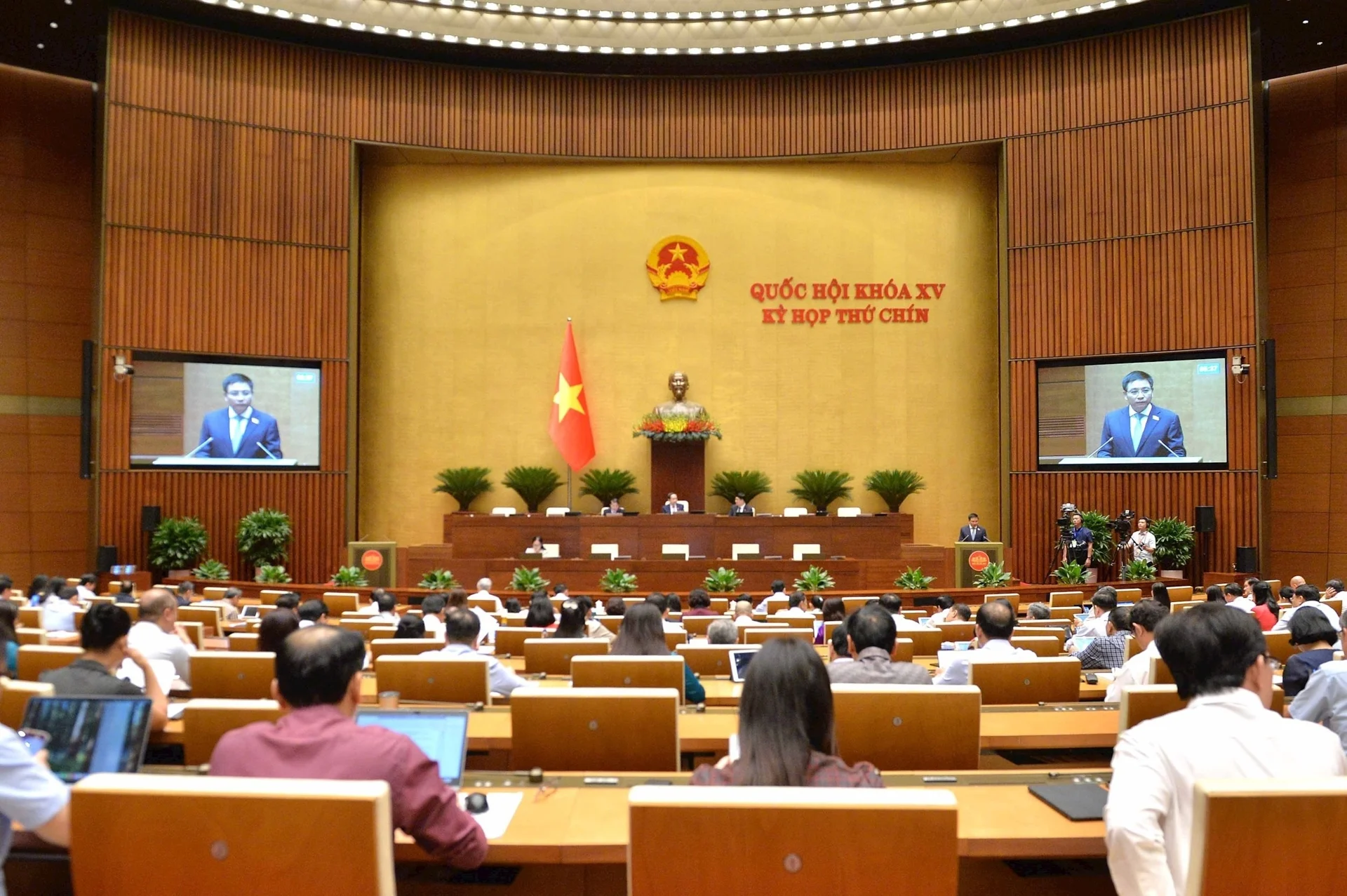 can-co-che-quan-ly-rui-ro-tai-khu-thuong-mai-tu-do-hai-phong