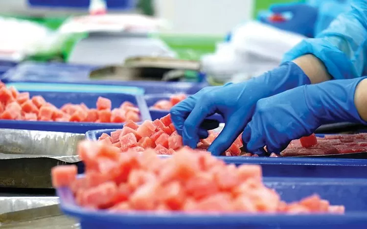 xuat-khau-ben-vung-chia-khoa-de-doanh-nghiep-viet-vuon-xa