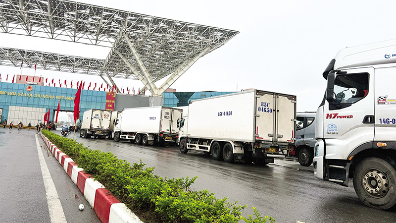 Kết nối chiến lược hai nền kinh tế Việt - Trung