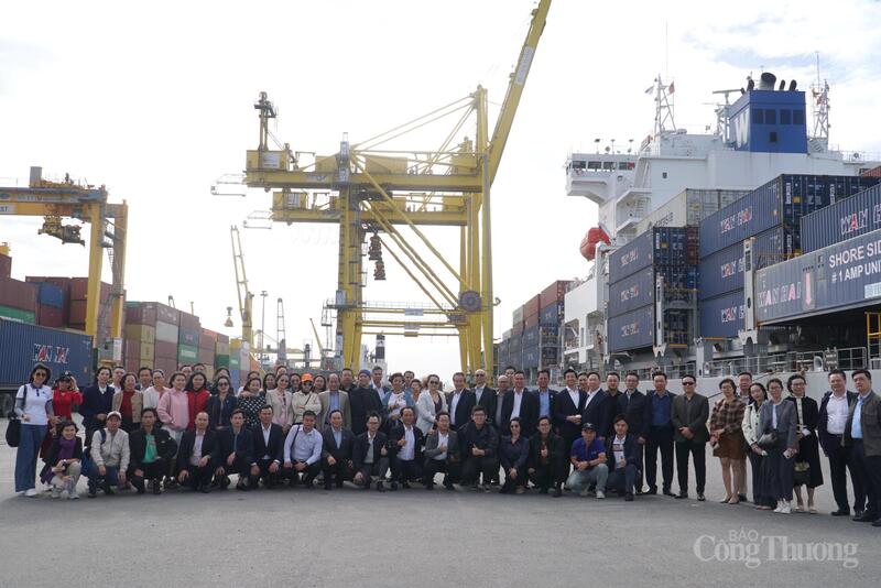 doan-dai-bieu-dien-dan-logistics-viet-nam-2025-khao-sat-cang-tien-sa