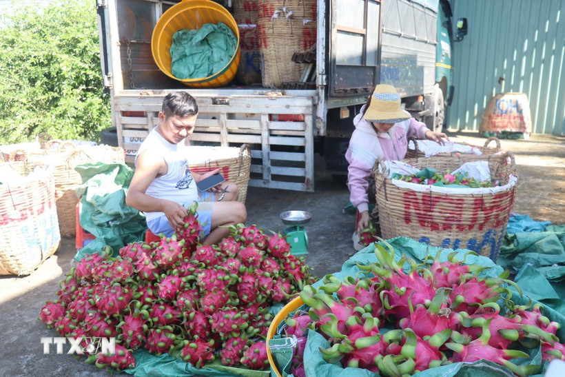 nghi-quyet-57-nqtw-tang-gia-tri-san-pham-nong-nghiep-tu-chuyen-doi-so