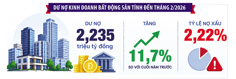trang6_curvesjpg1779113217.jpg