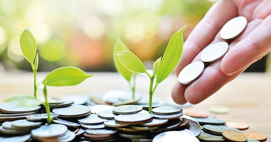 tin-dung-xanh-cho-cu-hich-tu-chinh-sach-ho-tro-lai-suat-2