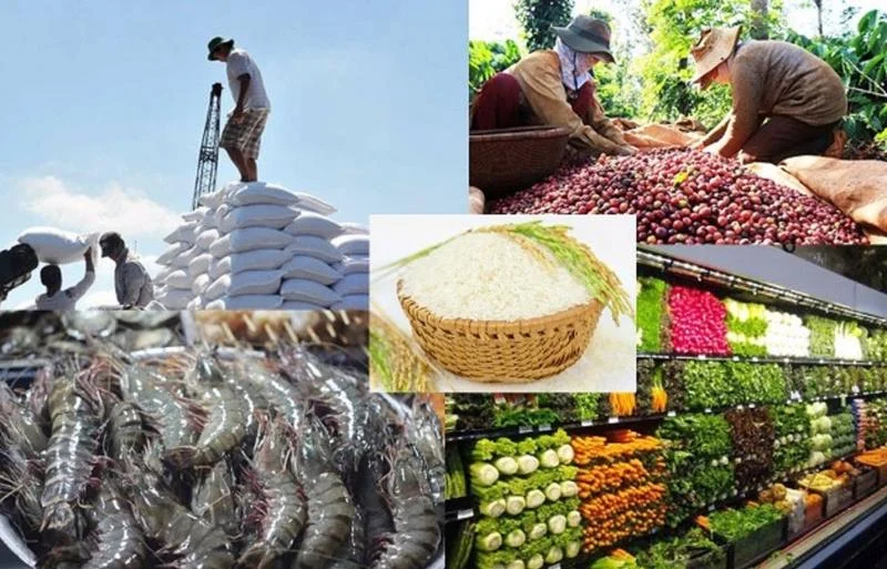 Xuất khẩu nông, lâm, thủy sản 100 tỷ USD: Thách thức không nằm ở năng lực sản xuất