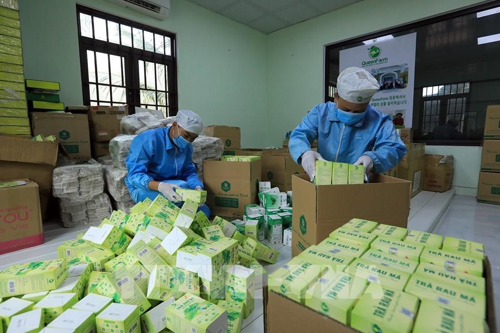 cong-uoc-ha-noi-phao-dai-so-cua-doanh-nghiep-viet-khong-chi-la-tuong-lua-ma-la-van-hoa-an-ninh