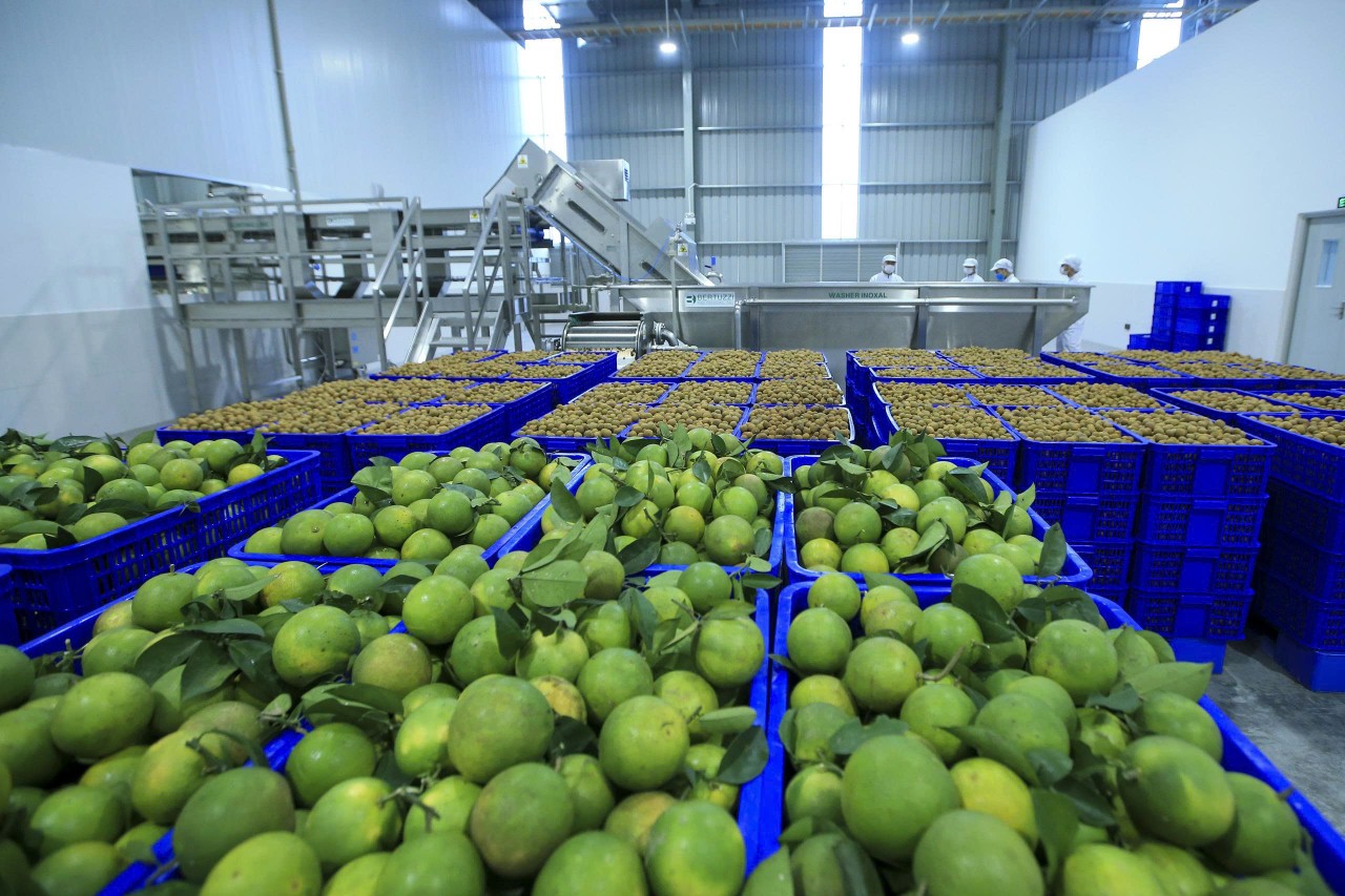 Phát triển công nghiệp chế biến, nâng cao năng lực cạnh tranh cho nông sản Việt