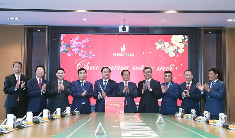 pho-thu-tuong-bui-thanh-son-tham-lam-viec-voi-4-tap-doan-ve-cong-nghiep-nang-luong