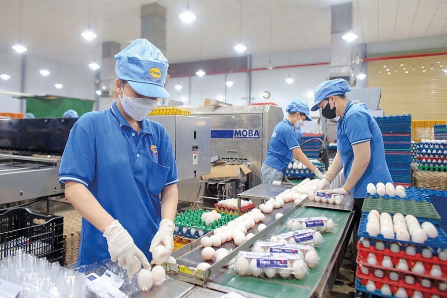 Cải thiện môi trường kinh doanh, thúc đẩy kinh tế tư nhân phát triển