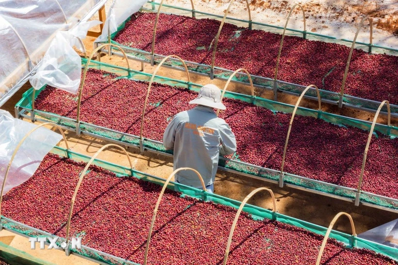 thi-truong-hang-hoa-nguyen-lieu-hang-hoa-duoc-ky-vong-se-tiep-tuc-phuc-hoi