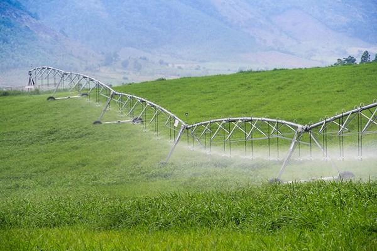 61% doanh nghiệp chưa cam kết thực hiện bộ tiêu chuẩn về môi trường- xã hội - quản trị (ESG)