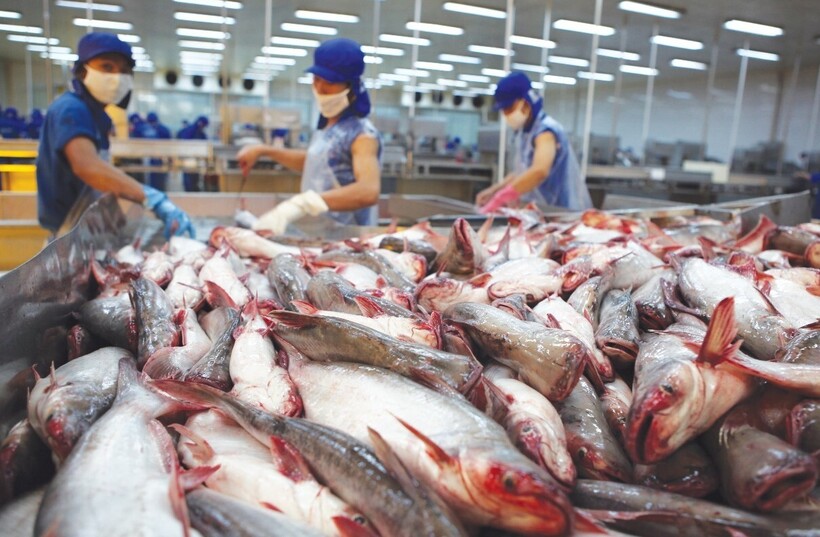 hoa-ky-ket-luan-thue-chong-ban-pha-gia-ca-tra-basa-phi-le-dong-lanh-viet-nam