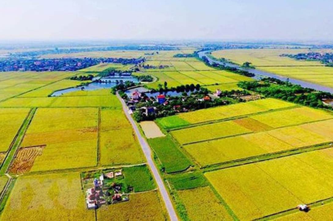 tien-chuyen-dat-nong-nghiep-sang-dat-o-co-the-giam-con-30-50