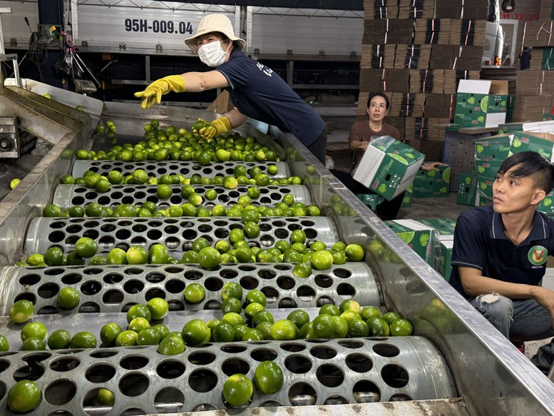 cai-thien-cong-nghe-bao-quan-nong-san-de-giam-chi-phi-xuat-khau