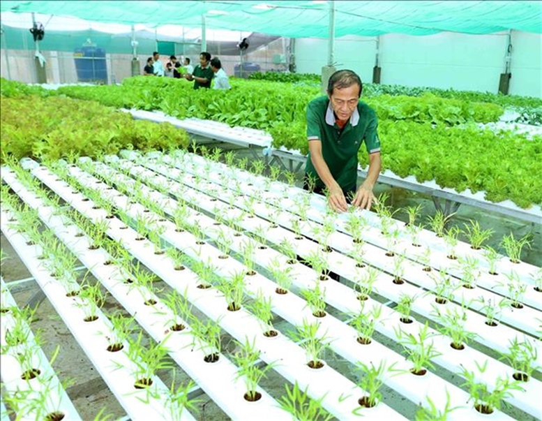 'Hàng rào xanh' của EU: Cần sự thay đổi tư duy của doanh nghiệp