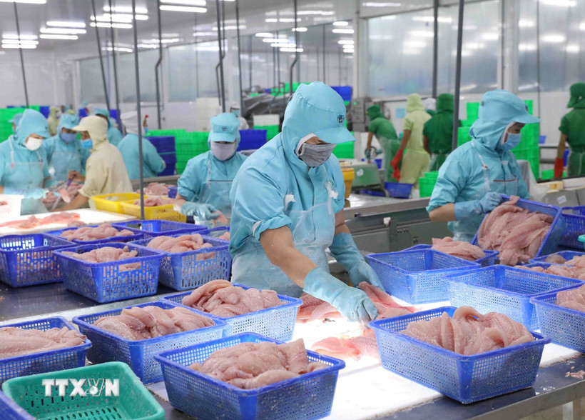 go-vuong-thu-tuc-xuat-khau-thuy-san-sang-hoa-ky