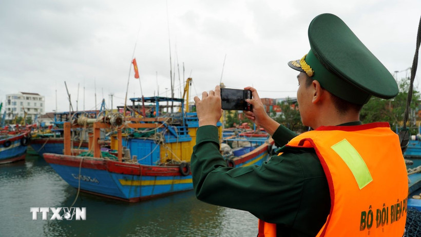 Tinh giản đội tàu, chuyển đổi nghề cá để gỡ “thẻ vàng” IUU
