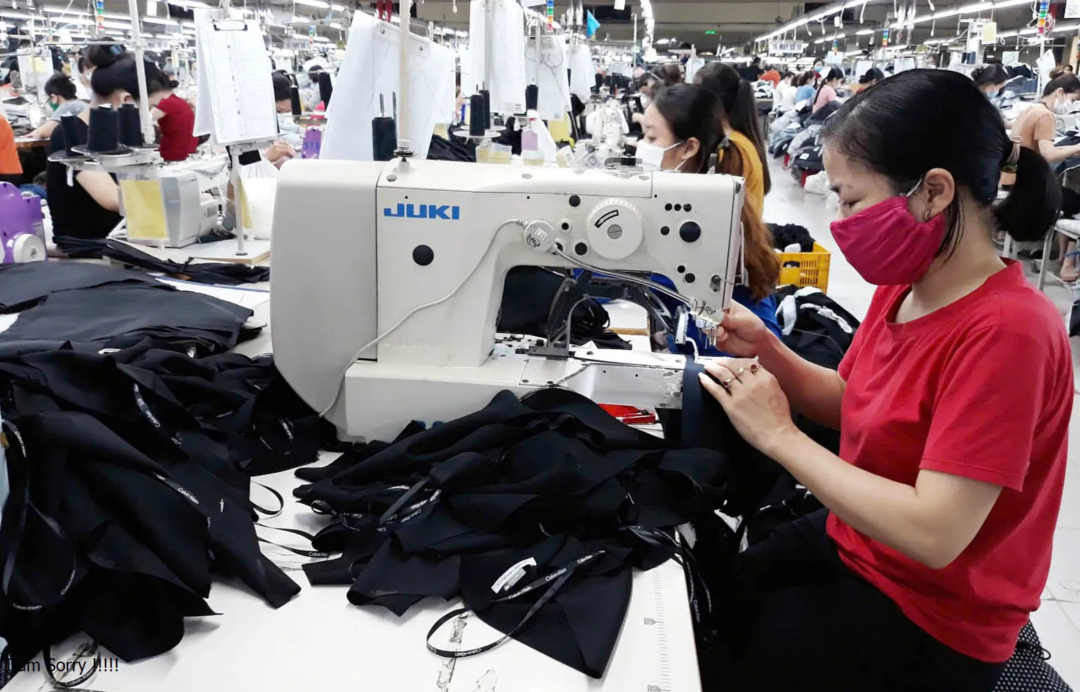 xuat-khau-ha-noi-vuot-song-2025-doanh-nghiep-noi-giu-nhip-tang-truong