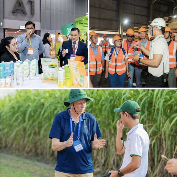 SBT2-1.jpg SBT2-1.jpg