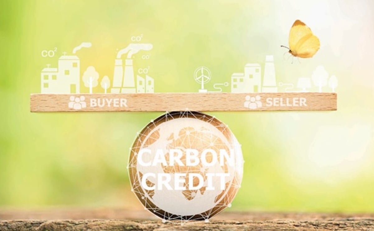 cuoc-choi-tin-chi-carbon-nguoi-tieu-dung-am-tham-moc-hau-bao