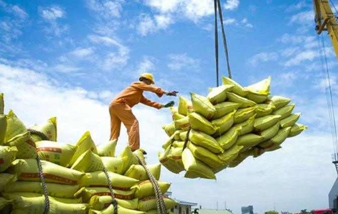 dam-bao-viec-dieu-hanh-san-xuat-va-tieu-thu-lua-gao-trong-tinh-hinh-moi
