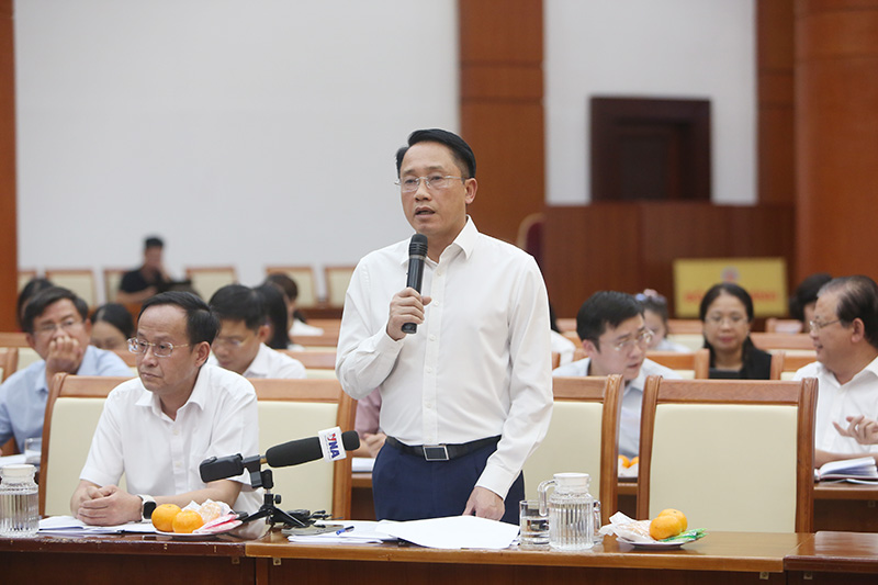 mai son - cuc thue.jpg