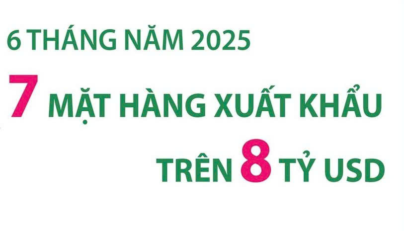 7-mat-hang-xuat-khau-tren-8-ty-usd-trong-6-thang-dau-nam