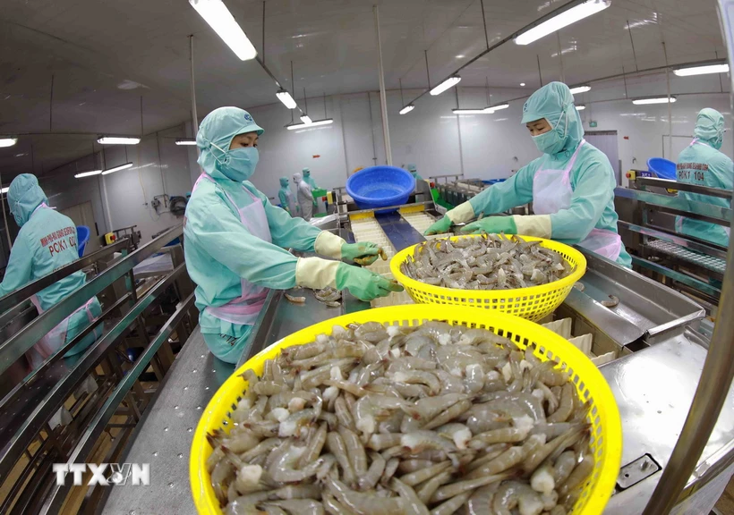 de-xuat-khau-tom-viet-nam-giu-vung-vi-the-tren-thi-truong-the-gioi