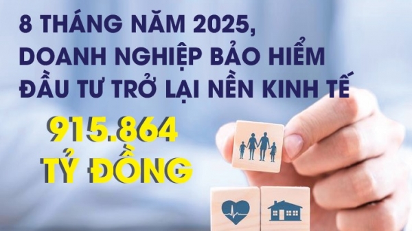 infographics-doanh-nghiep-bao-hiem-dau-tu-tro-lai-nen-kinh-te-915864-ty-dong