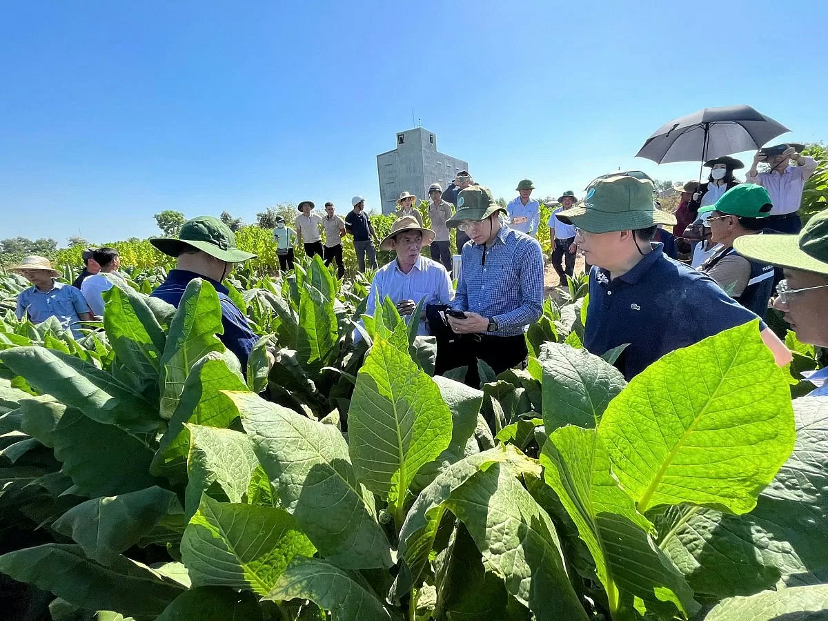 vinataba-rd-doan-ket-dong-long-hoan-thanh-nhiem-vu-duoc-giao