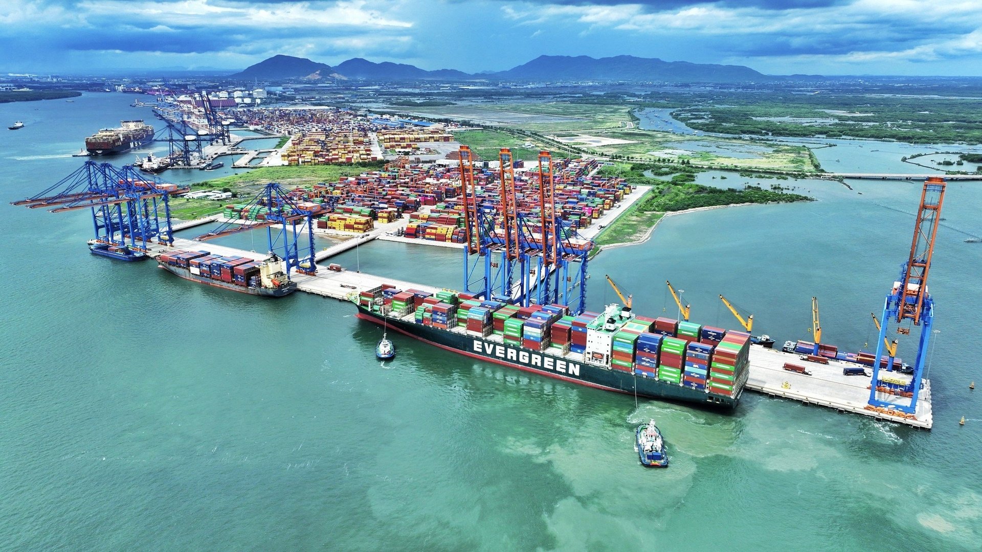 can-cat-giam-thuc-chat-danh-muc-nganh-nghe-dau-tu-kinh-doanh-co-dieu-kien