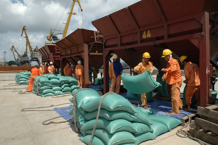 tao-hanh-lang-phap-ly-thuan-loi-nhat-cho-hoat-dong-xuat-khau-gao