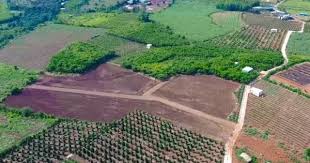 khong-co-gia-dat-cho-vi-tri-duoc-giao-tinh-tien-su-dung-dat-the-nao