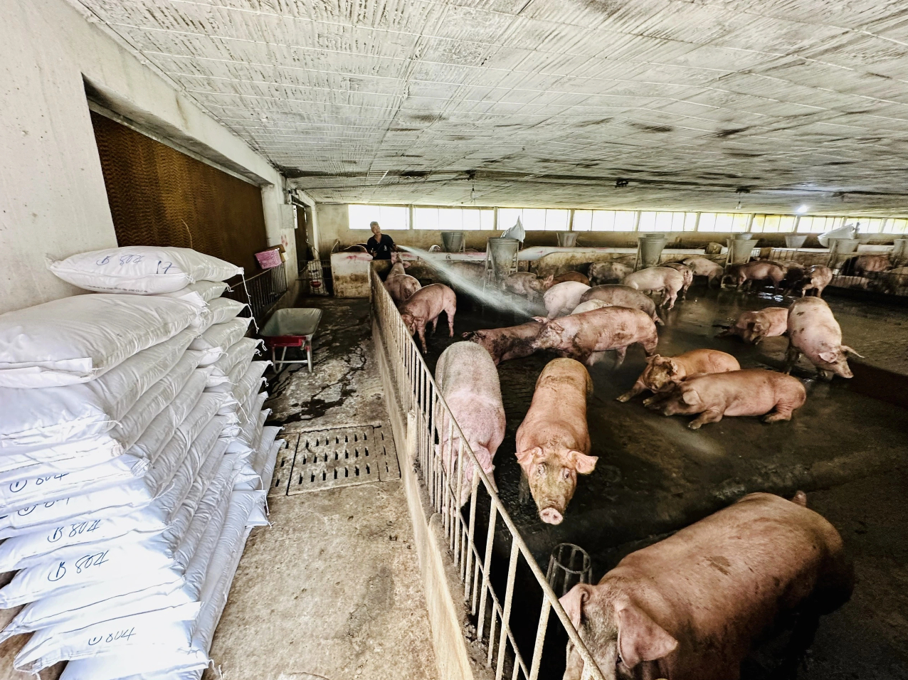 uu-dai-thue-bi-vo-hieu-doanh-nghiep-chan-nuoi-cau-cuu