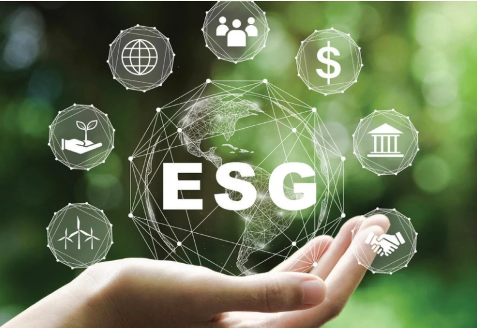 ap-luc-esg-khong-dap-ung-tieu-chuan-dn-viet-bi-loai-ngay-khoi-danh-sach