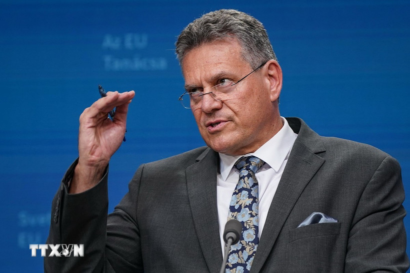 Liên minh châu Âu và Trung Quốc nhất trí họp khẩn về vấn đề đất hiếm