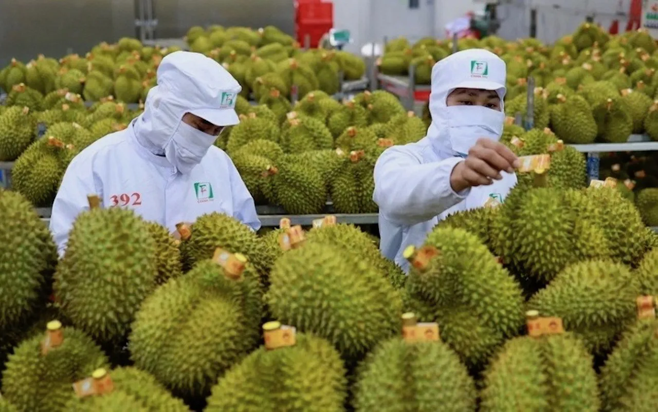 Thúc đẩy hợp tác nông sản Việt - Trung