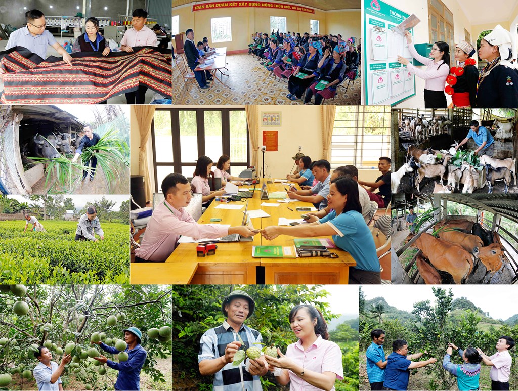 tin-dung-chinh-sach-xa-hoi-giup-nhieu-gia-dinh-thoat-ngheo