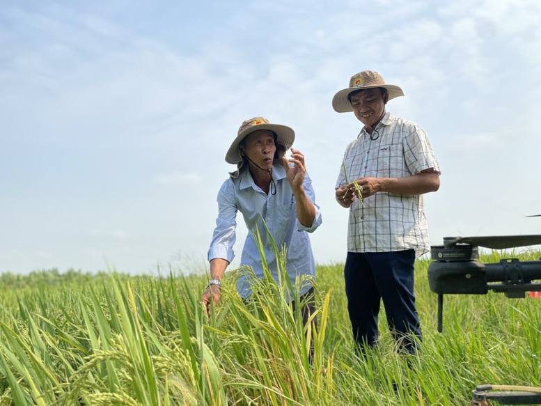 bo-nong-nghiep-va-moi-truong-xay-dung-kich-ban-san-xuat-truoc-tinh-hinh-xung-dot-trung-dong