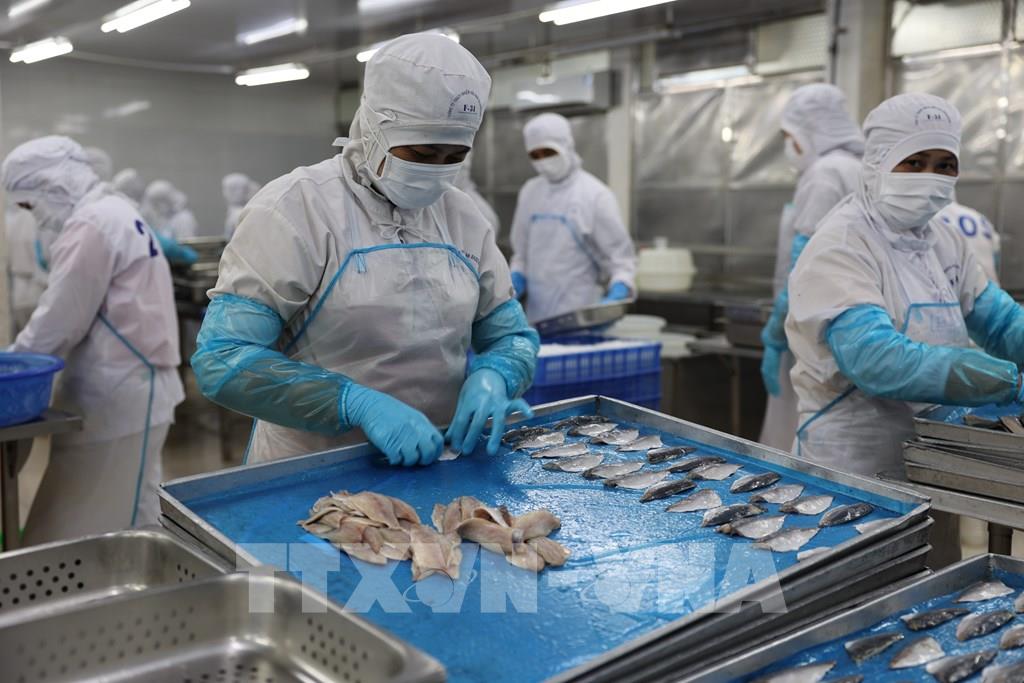 xuat-khau-thuy-san-quy-i-tang-8