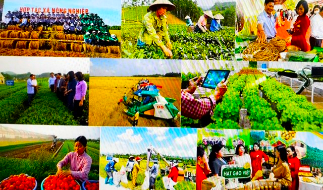 kien-toan-to-chuc-va-hoat-dong-cua-quy-ho-tro-nong-dan-trung-uong