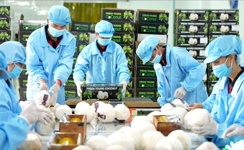 ky-vong-nganh-rau-qua-viet-co-the-mang-ve-hon-8-ty-usd-trong-nam-2025