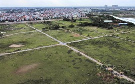 Đất hợp thửa phải cùng thời hạn và mục đích sử dụng
