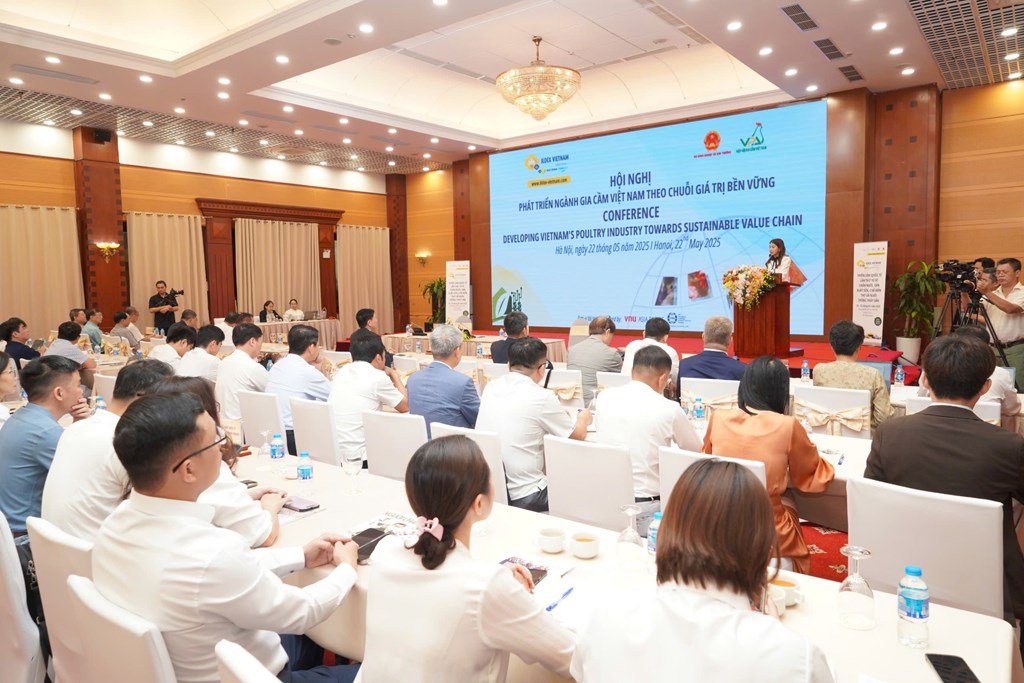 Liên kết chuỗi giá trị ngành gia cầm còn quá ít