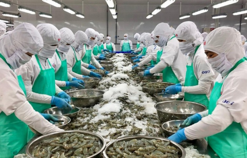 thuy-san-viet-nam-tham-nhap-vao-thi-truong-israel