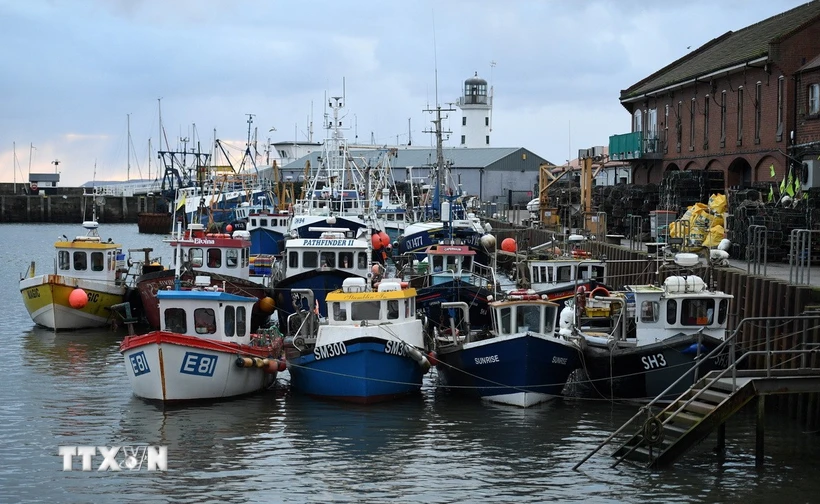 anh-va-eu-doi-dau-lan-dau-tien-tai-toa-an-ve-quyen-danh-bat-ca-sau-brexit