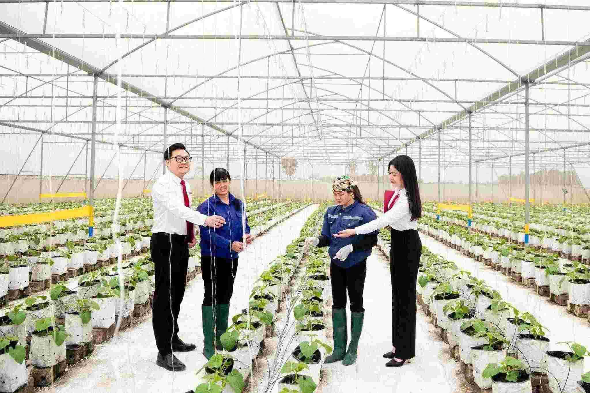 agribank-khang-dinh-vai-tro-tru-cot-tai-chinh-tao-da-but-pha-cho-ky-nguyen-phat-trien-moi