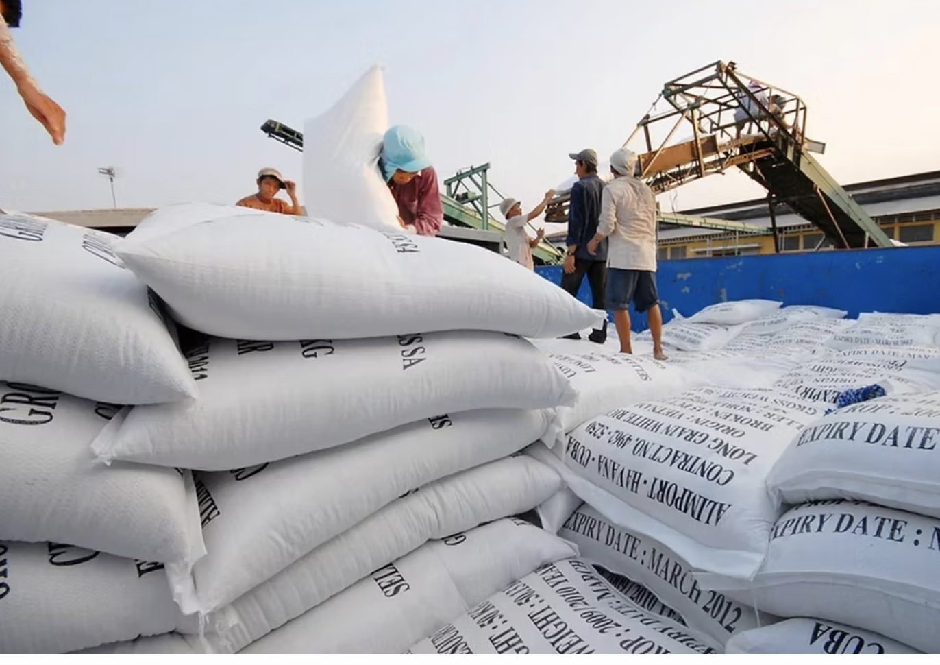 Gạo Việt xuống giá thấp nhất 9 năm qua, đơn hàng giảm mạnh